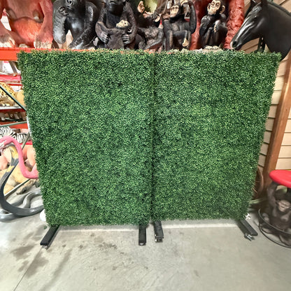 Double Hedge Wall