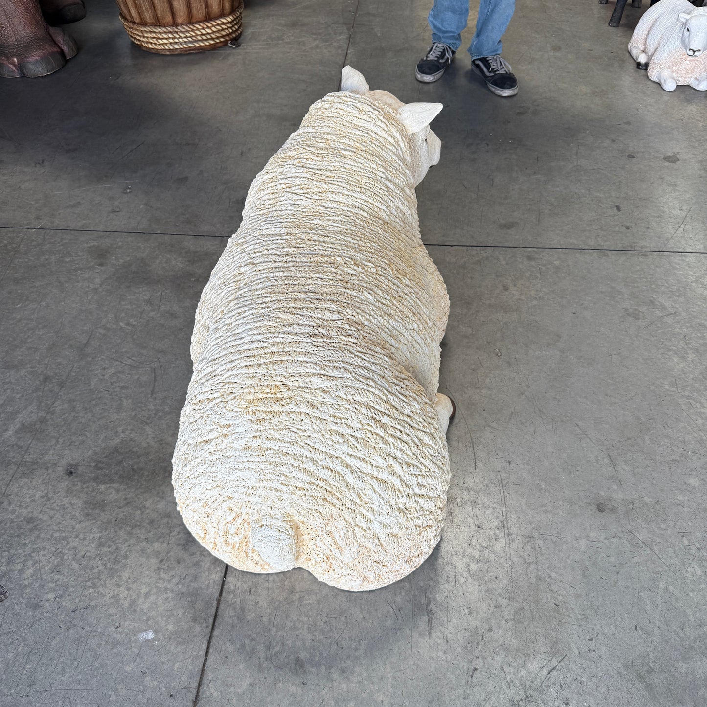 Laying Texelaar Lamb Statue