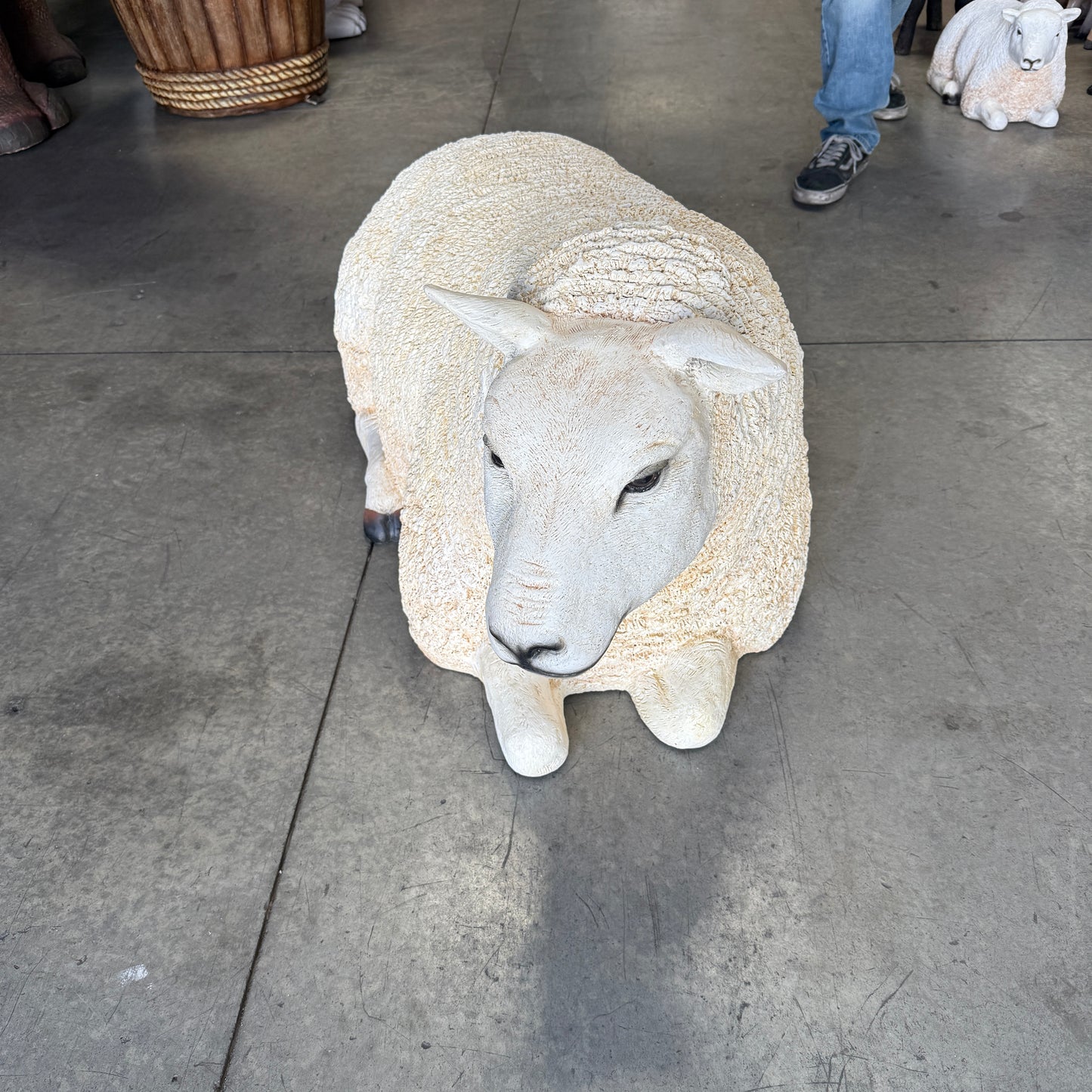 Laying Texelaar Lamb Statue