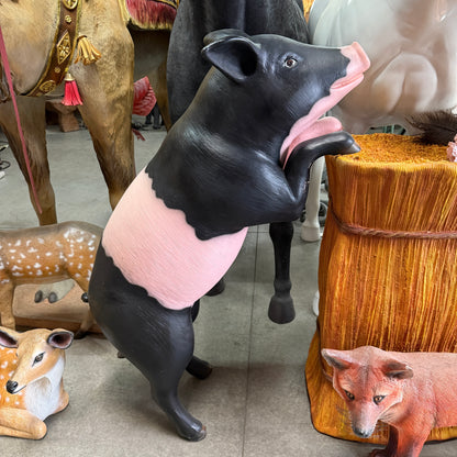 Curious Black And Pink Pig Statue