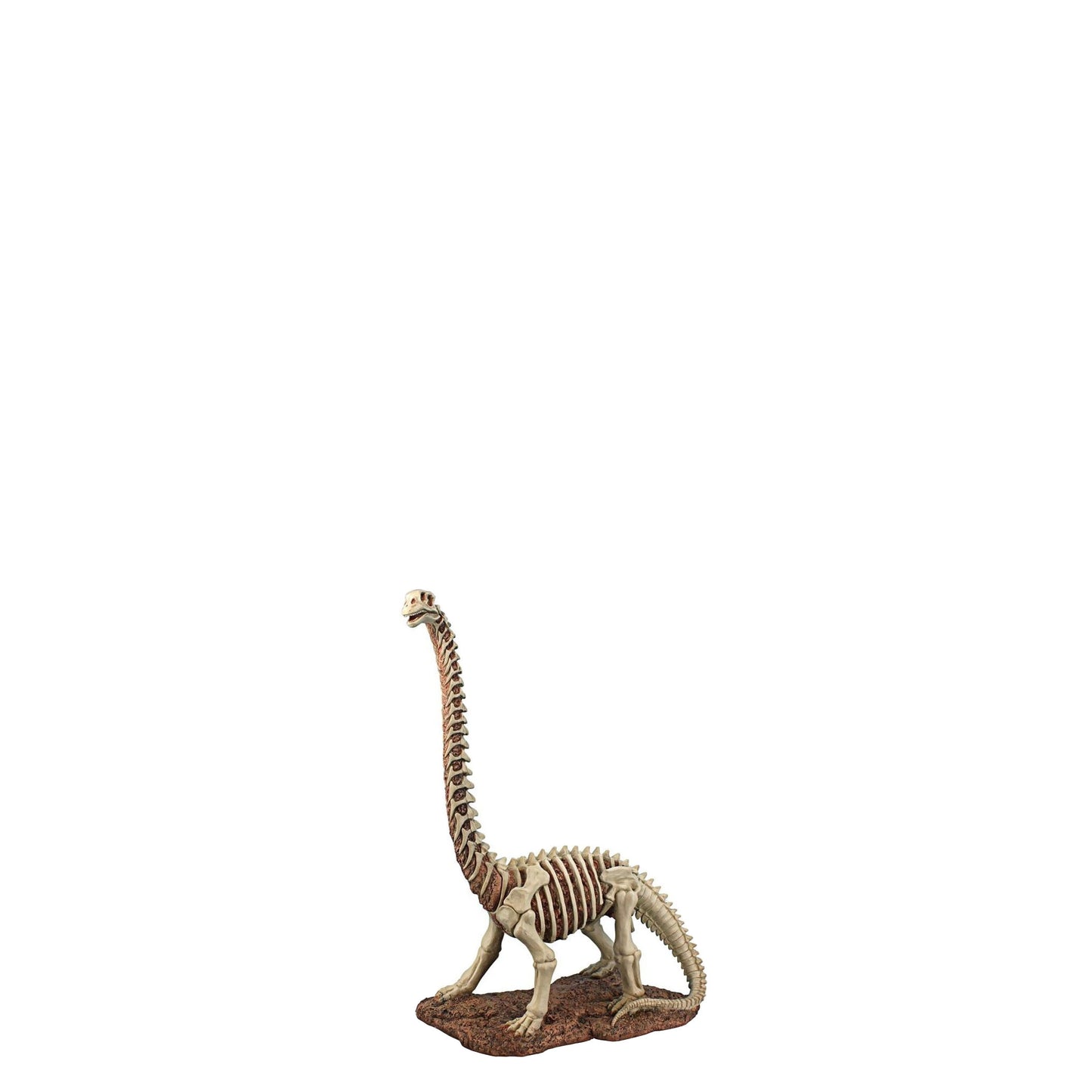 Small Brachiosaurus Dinosaur Skeleton Statue