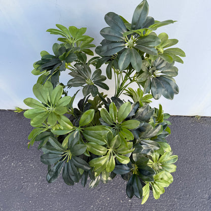 Small Artificial Schefflera Plant