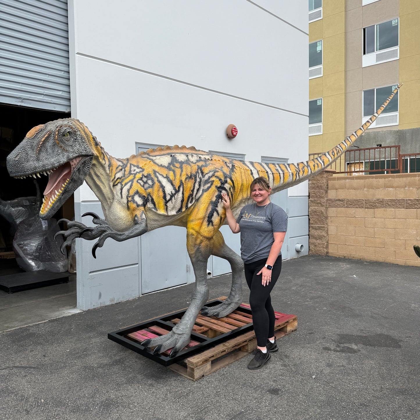 Australovenator Dinosaur Life Size Statue
