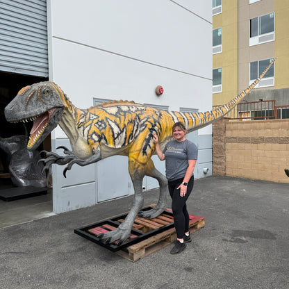 Australovenator Dinosaur Life Size Statue