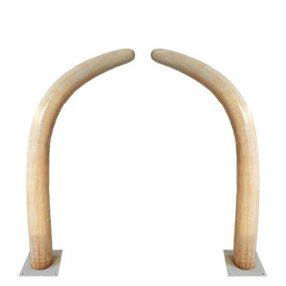 Large Dinosaur Rib Archway Statue