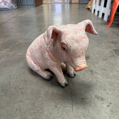 New Born Baby Pig Sitting Statue