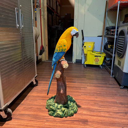 Macaw Parrot On Branch Statue