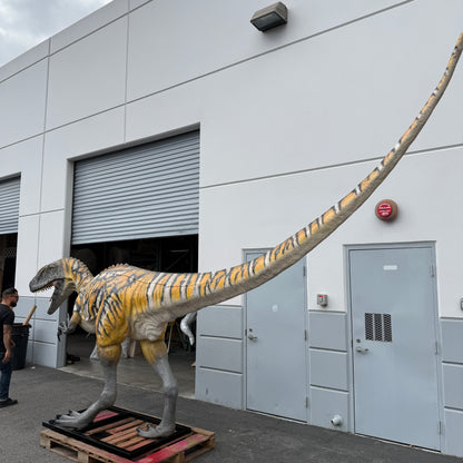 Australovenator Dinosaur Life Size Statue
