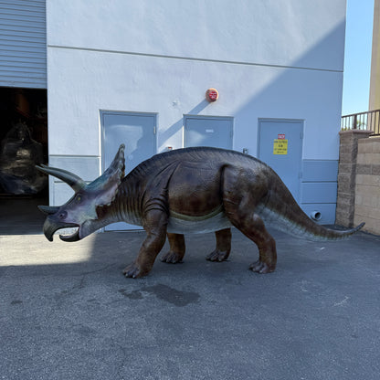 Large Brown Triceratops Dinosaur Life Size Statue