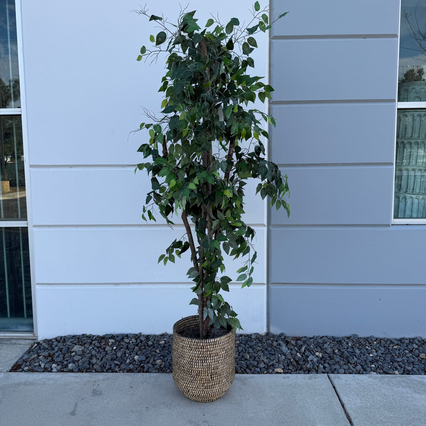 Large Artificial Ficus Tree