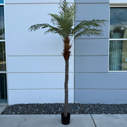 8ft Large Palm Tree