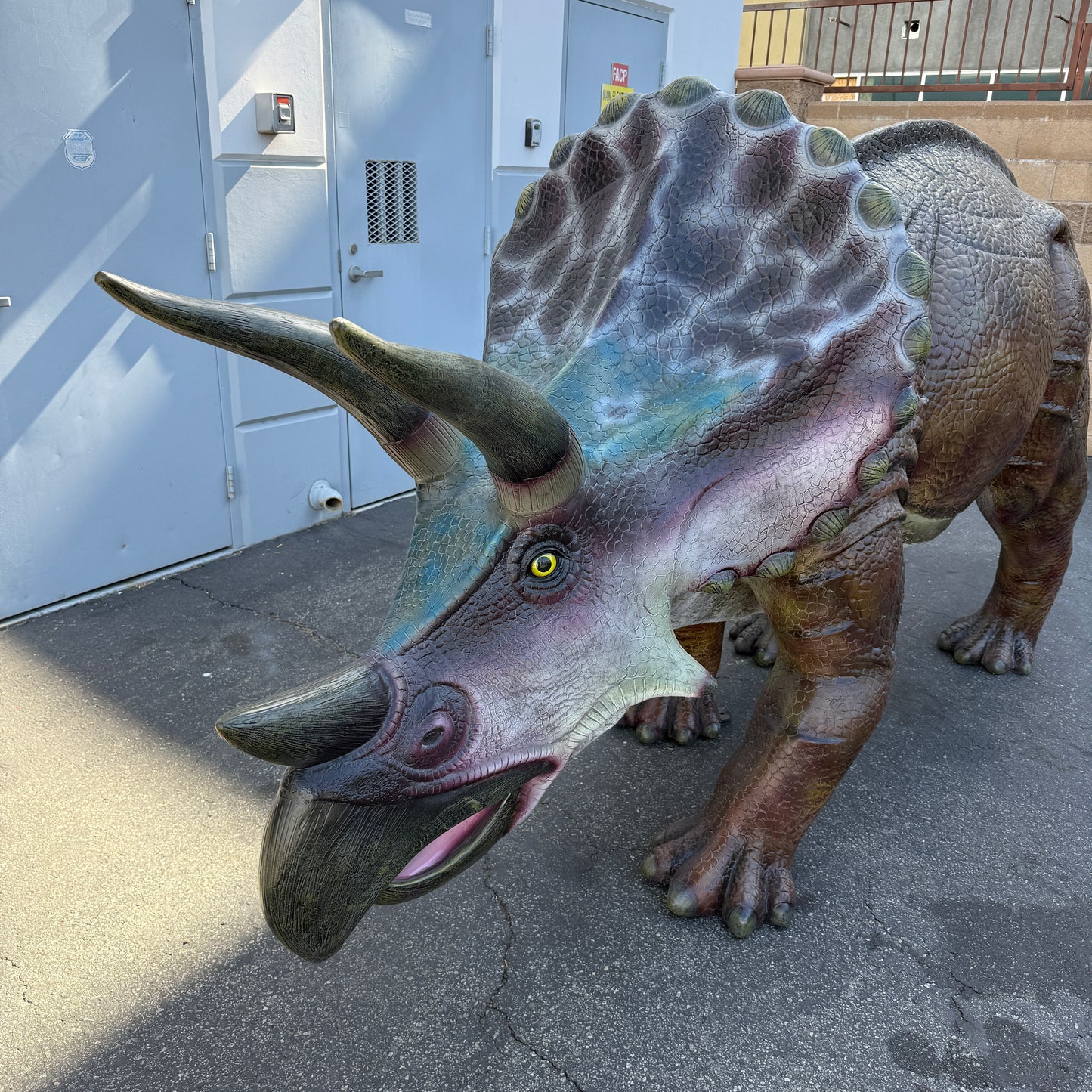 Large Brown Triceratops Dinosaur Life Size Statue