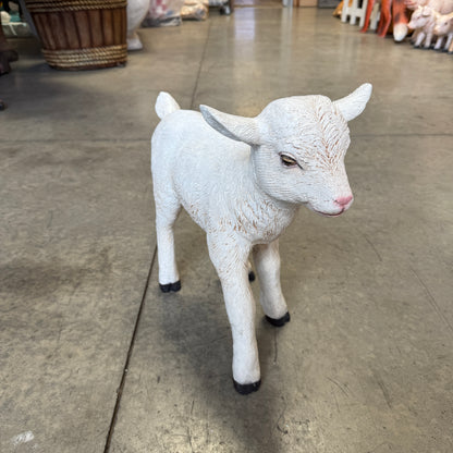 Baby Goat Standing Statue