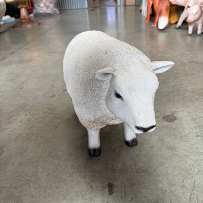 Texelaar Baby Sheep Head Up Statue