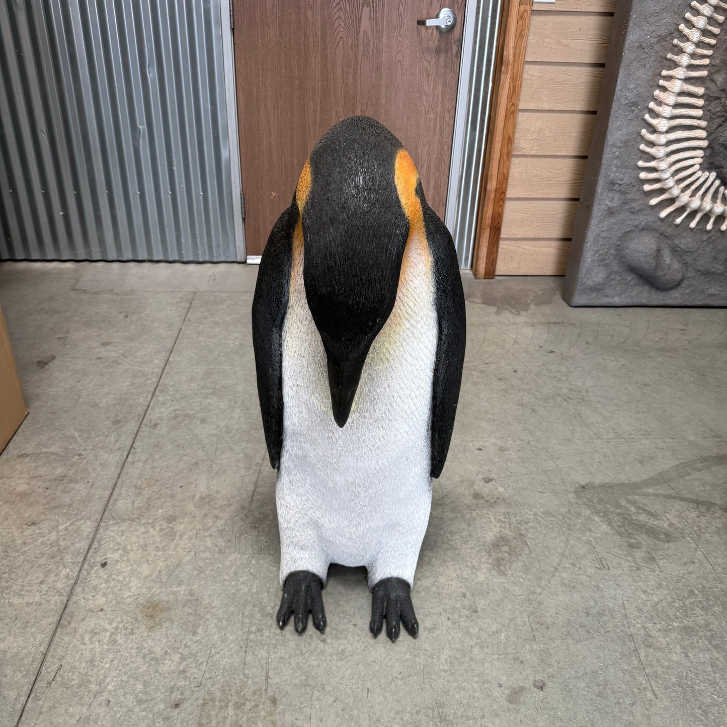 Male Penguin Statue