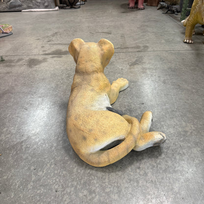 Lion Cub Laying Statue