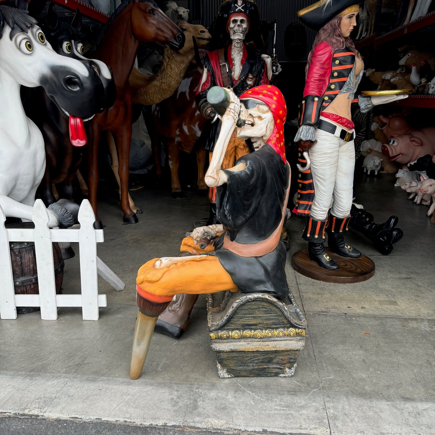 Skeleton Pirate on Treasure Drinking Life Size Statue