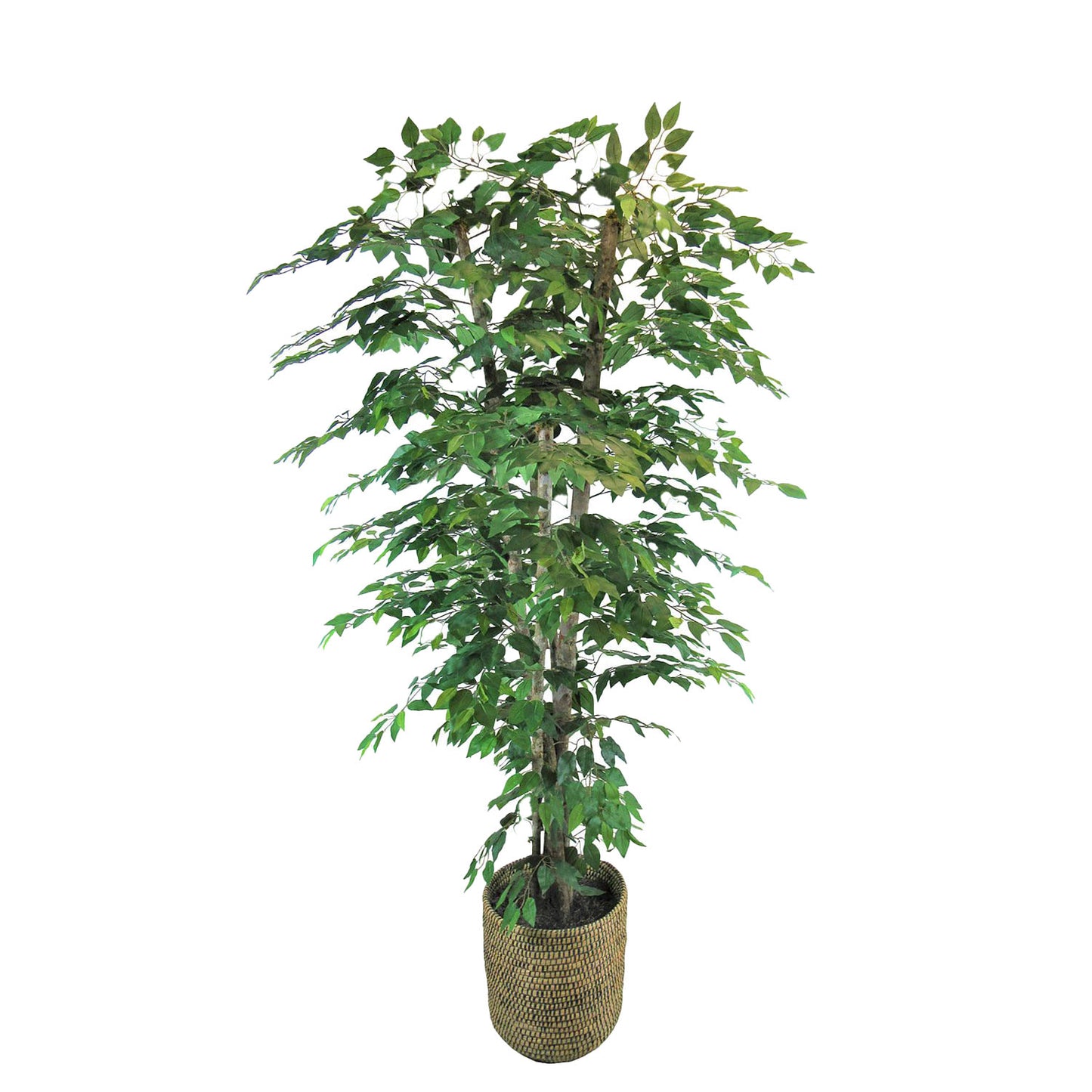 Large Artificial Ficus Tree