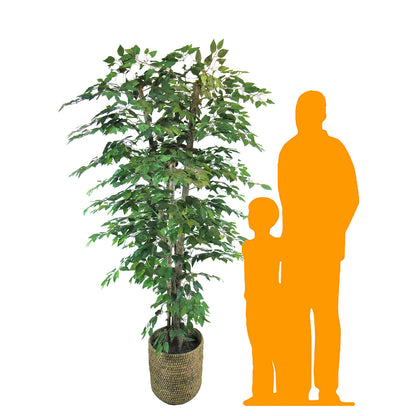 Large Artificial Ficus Tree