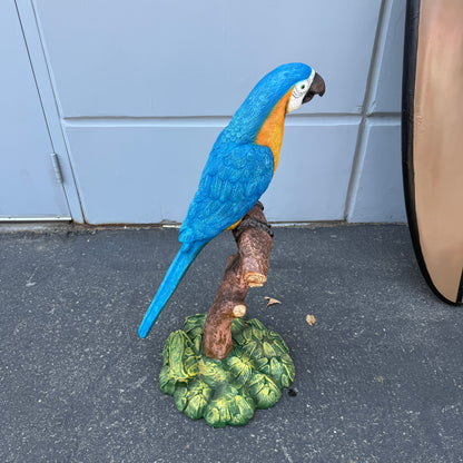 Blue Macaw Parrot On Branch Statue
