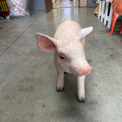 Baby Pig Statue