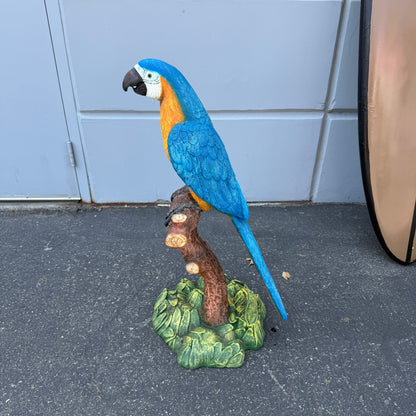 Blue Macaw Parrot On Branch Statue