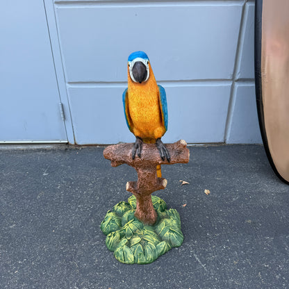Blue Macaw Parrot On Branch Statue