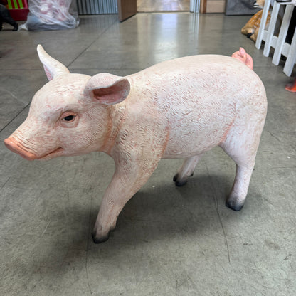 Baby Pig Statue