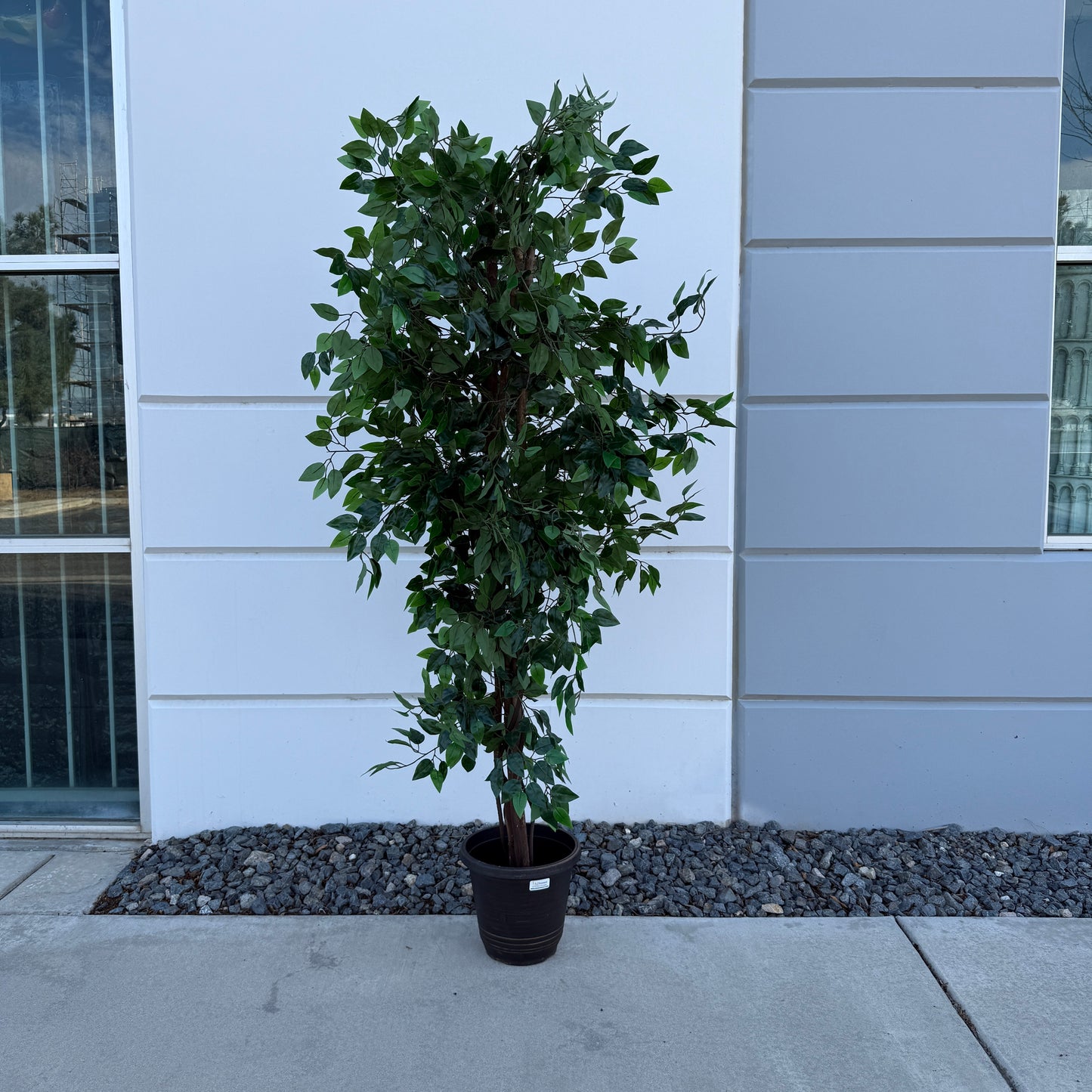 Artificial Ficus Tree