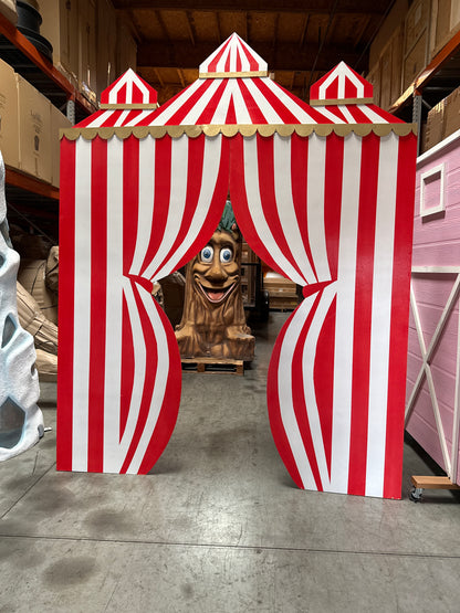 Circus Backdrop