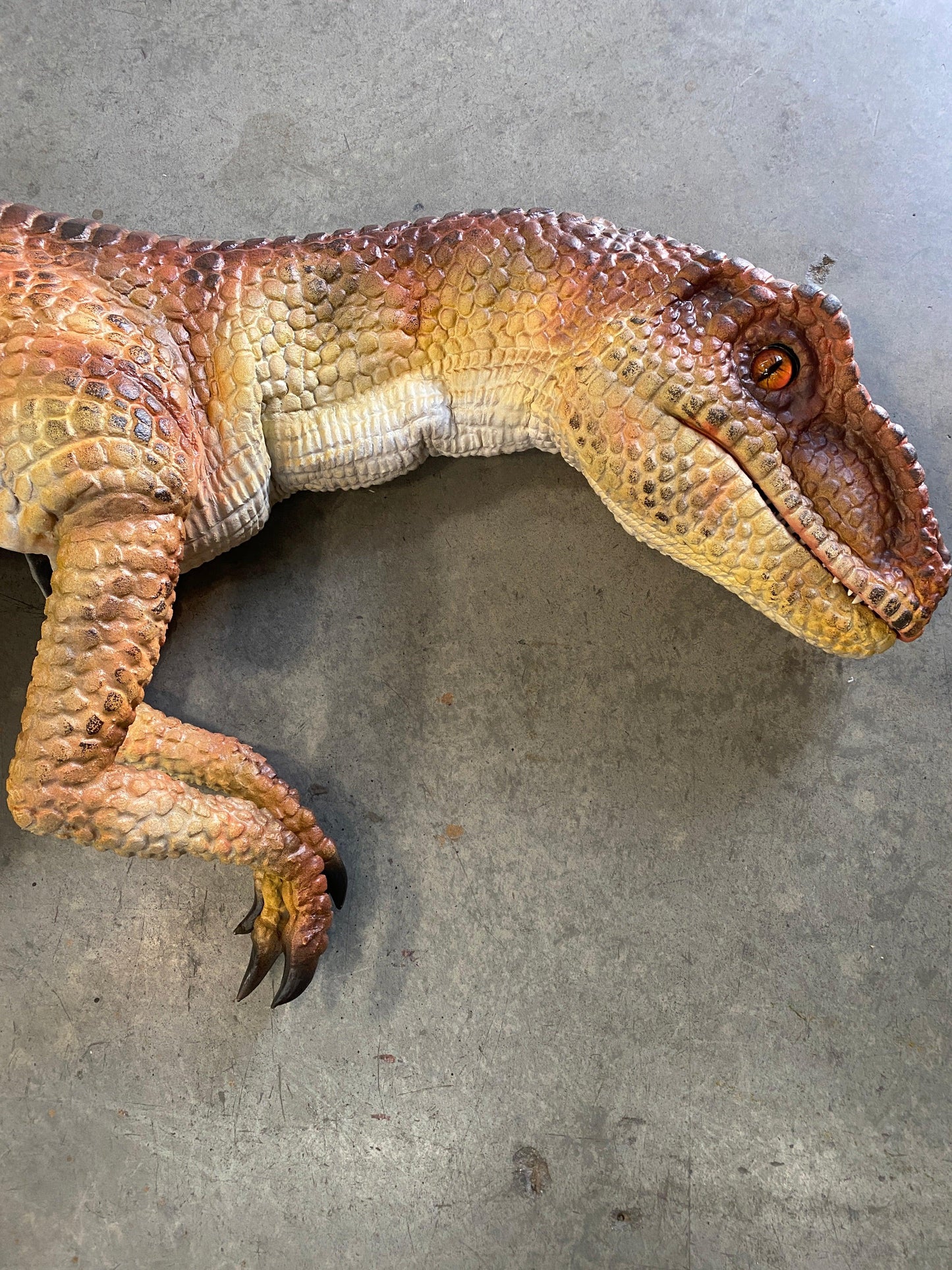 Raptor Dinosaur Shoulder Puppet - LM Treasures Prop Rentals 