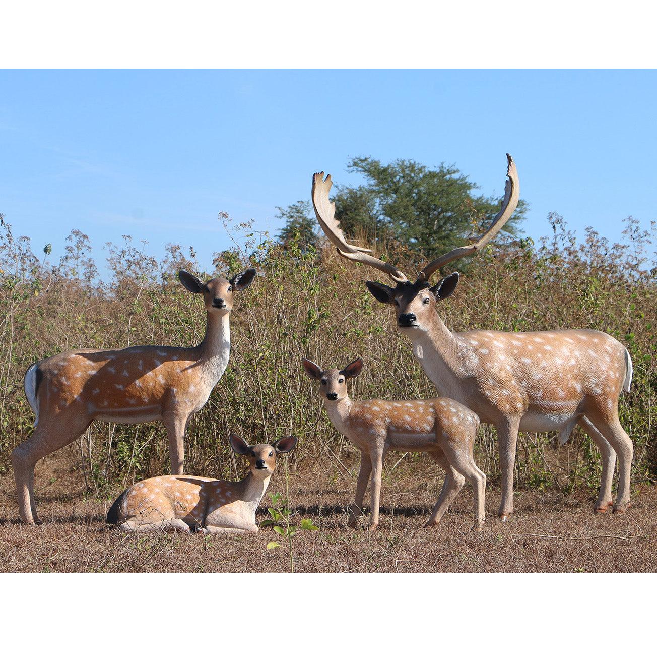 Deer Fallow Buck Life Size Statue - LM Treasures Prop Rentals 
