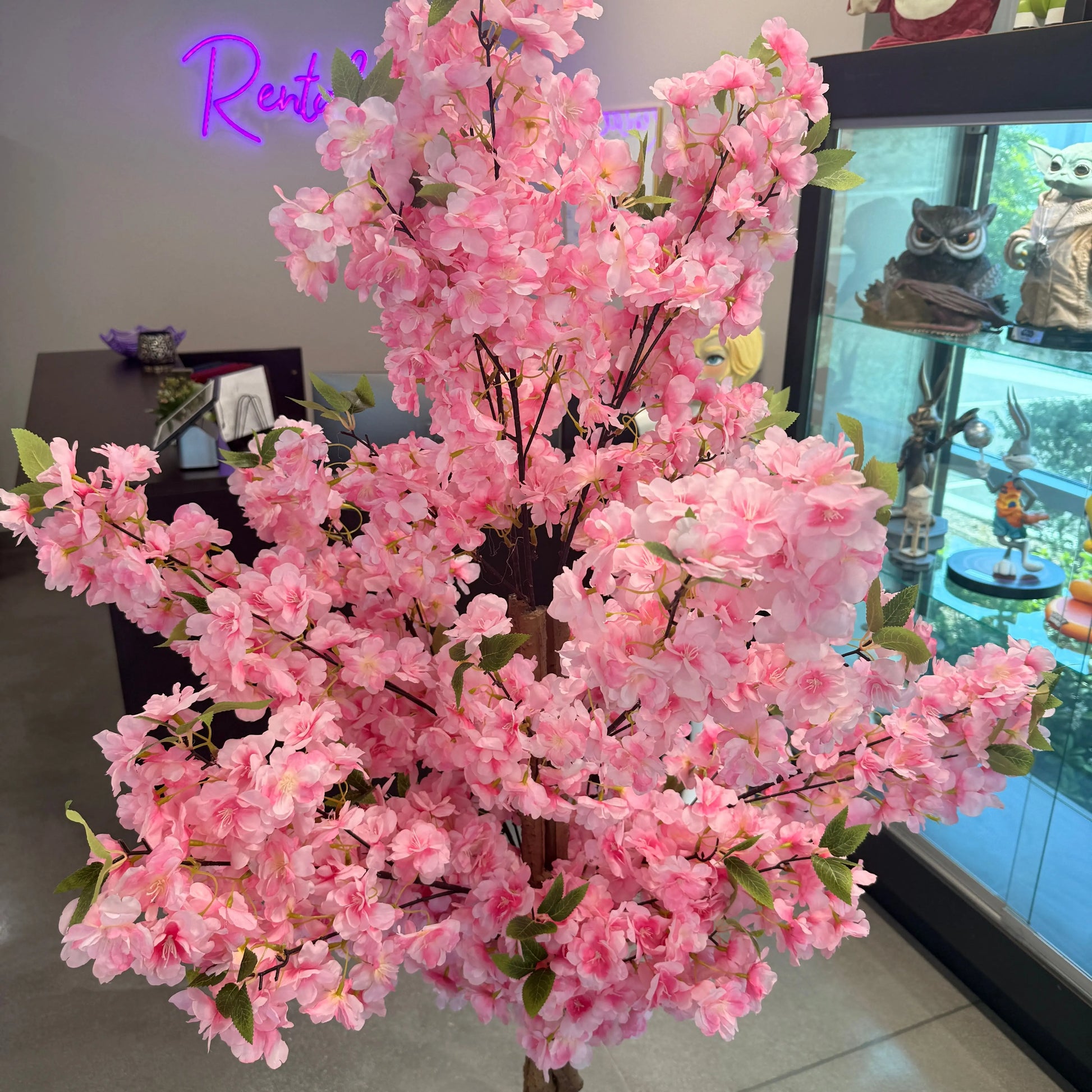 Pink Cherry Tree CHERRYW-P