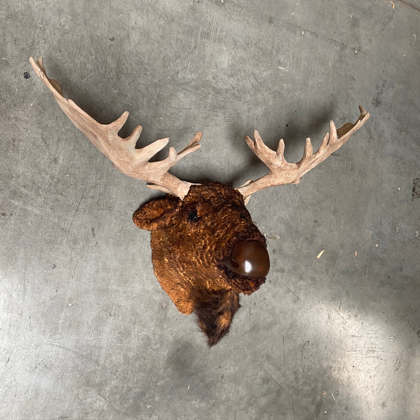 Moose Head Statue