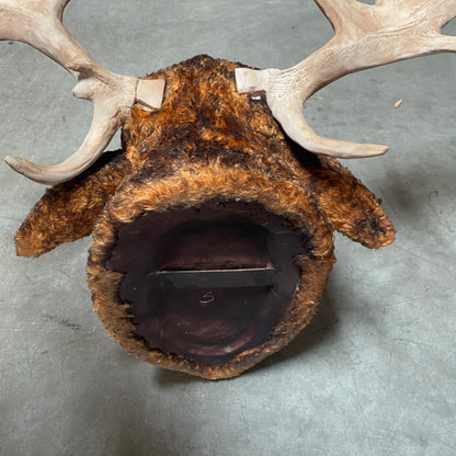 Moose Head Statue