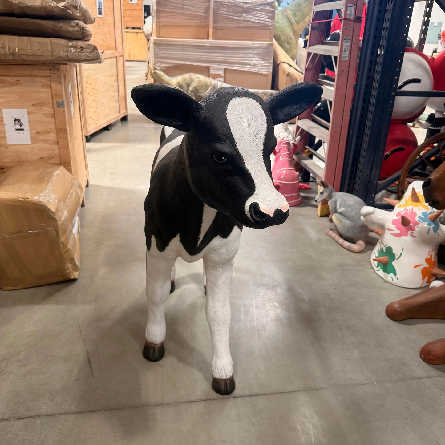 Holstein Calf Statue A0574-R007-PT