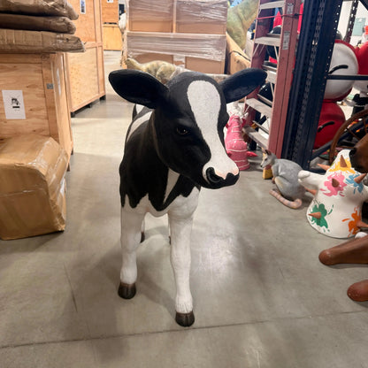 Holstein Calf Statue A0574-R007-PT