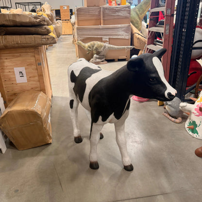 Holstein Calf Statue A0574-R007-PT