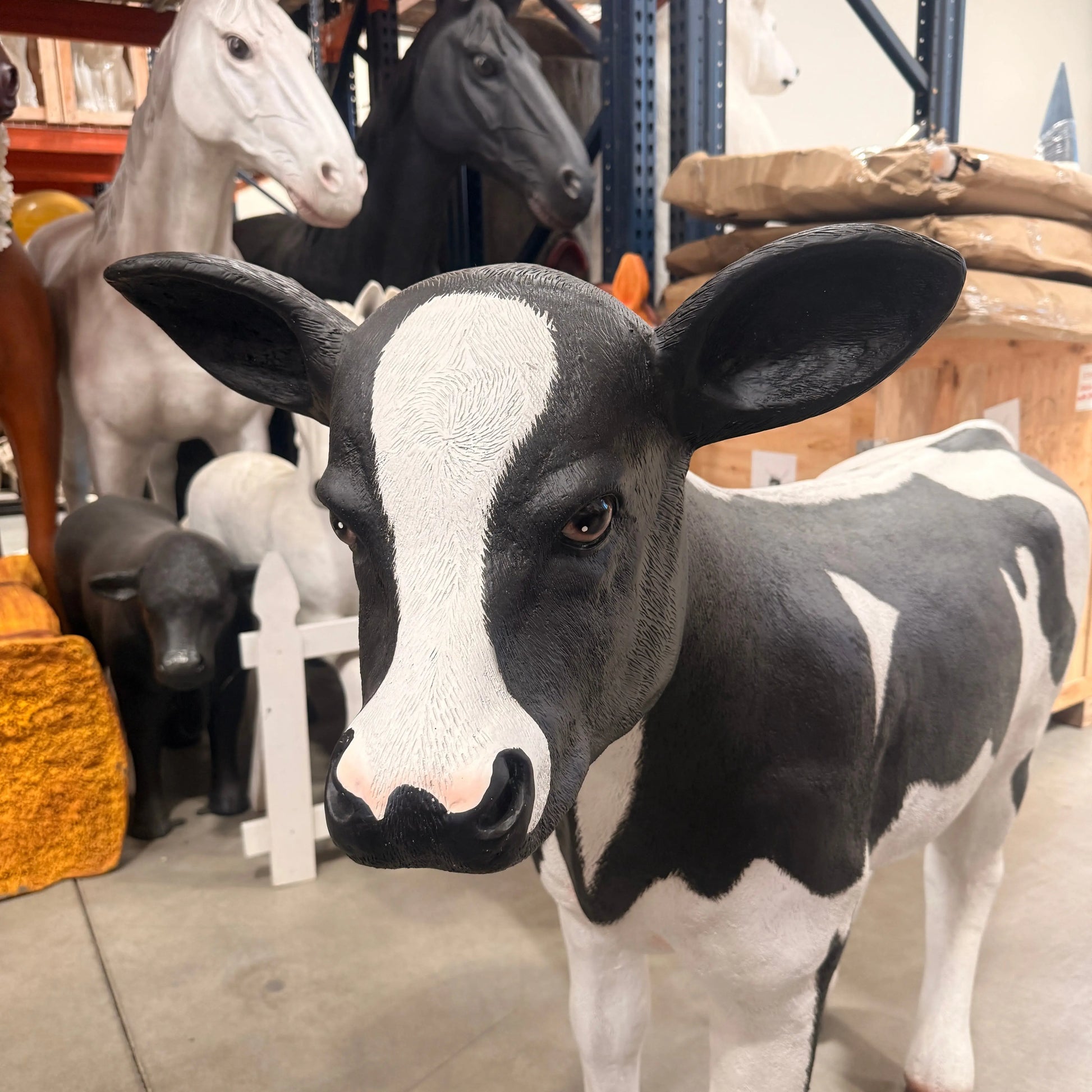 Holstein Calf Statue A0574-R007-PT