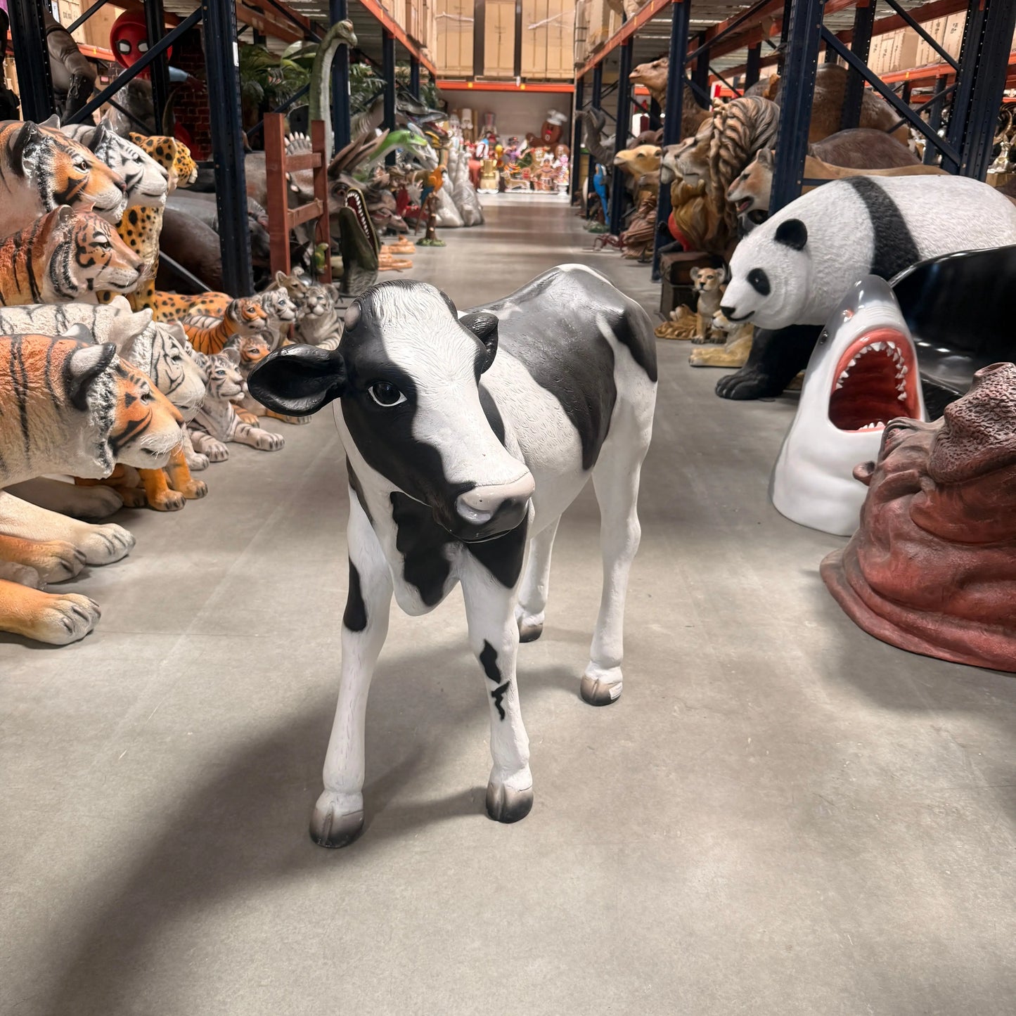 Baby Holstein Cow Statue A0262-080040-H