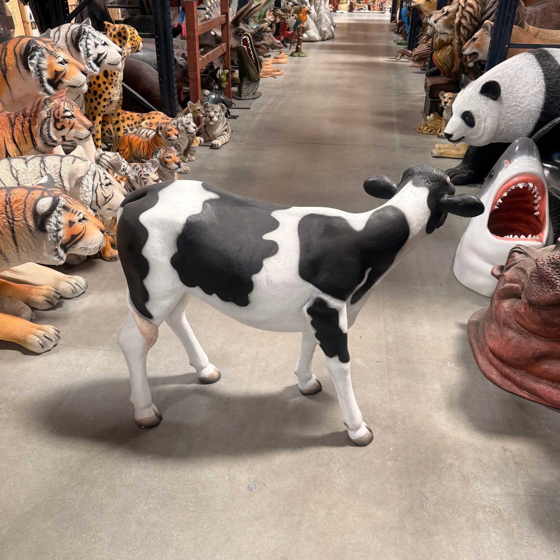 Baby Holstein Cow Statue A0262-080040-H