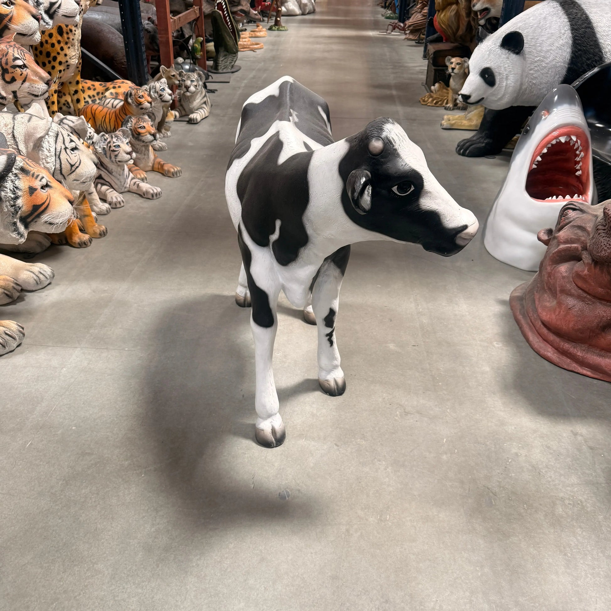 Baby Holstein Cow Statue A0262-080040-H