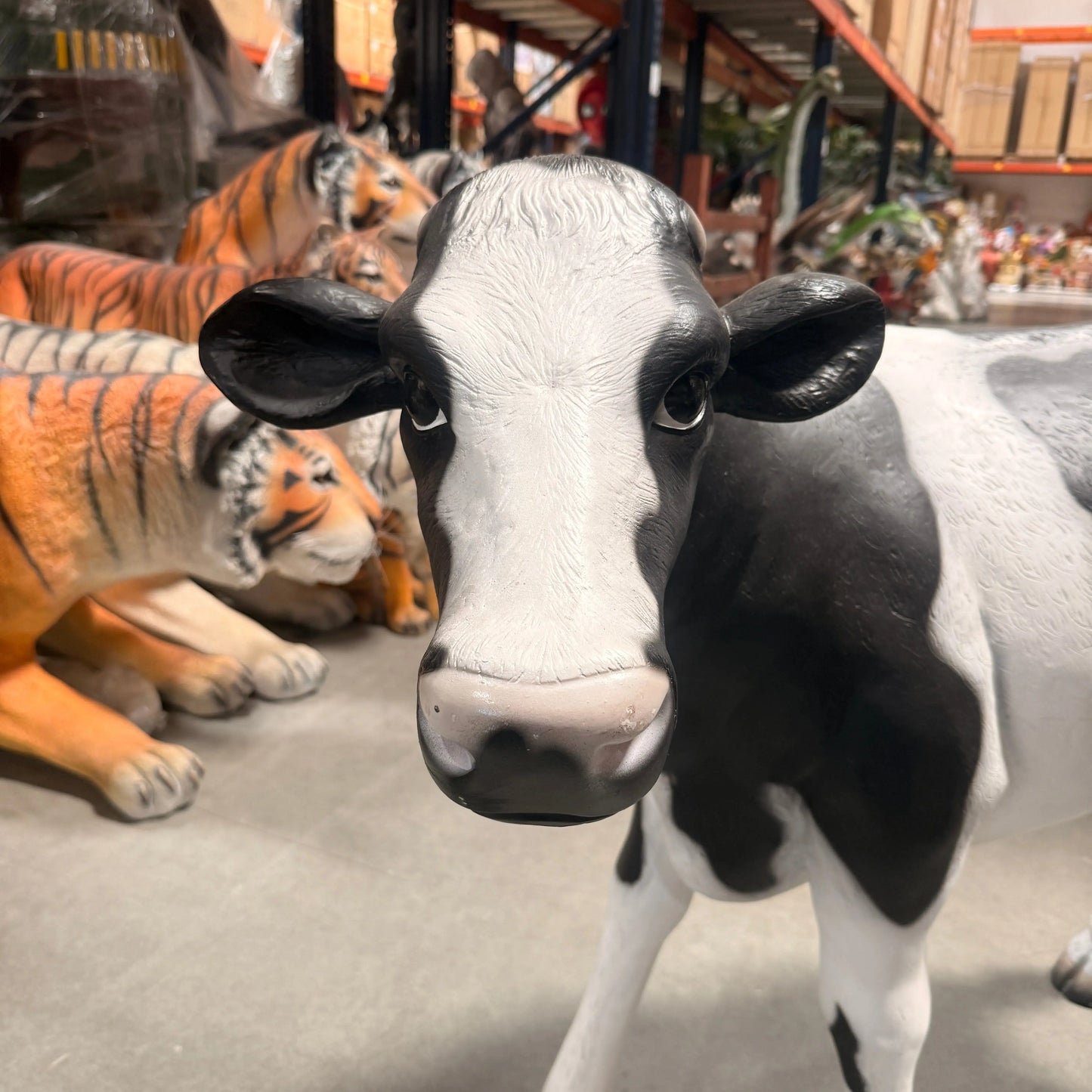 Baby Holstein Cow Statue A0262-080040-H