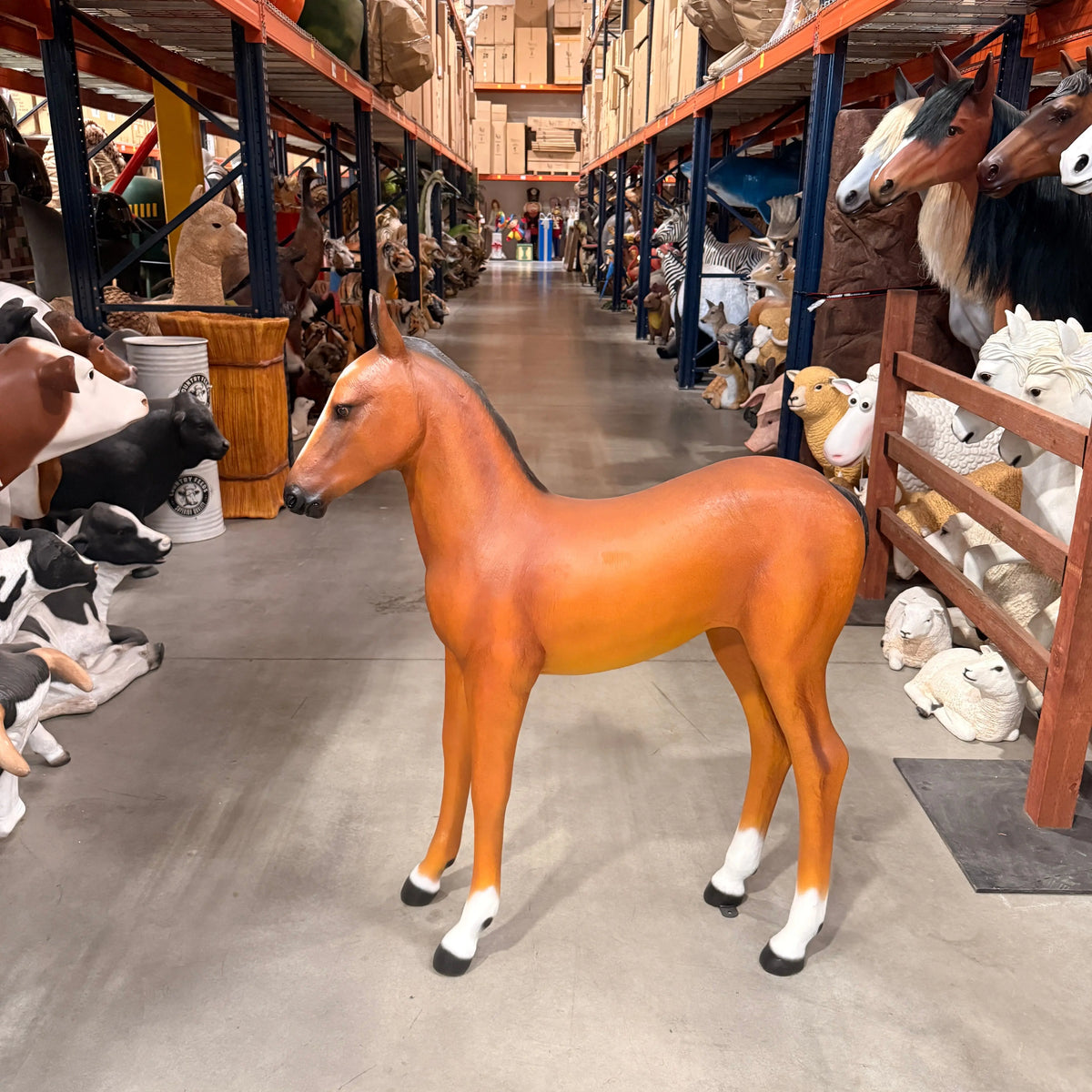 Pony Foal Horse Standing Statue A0332-120043-H
