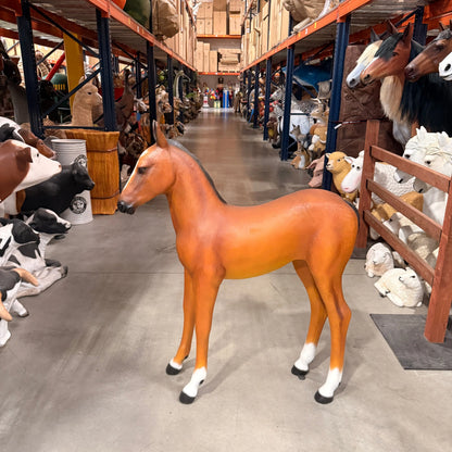 Pony Foal Horse Standing Statue A0332-120043-H