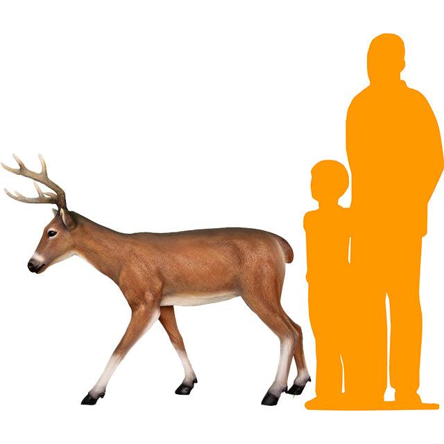 Deer Young Buck Life Size Statue - LM Treasures Prop Rentals 