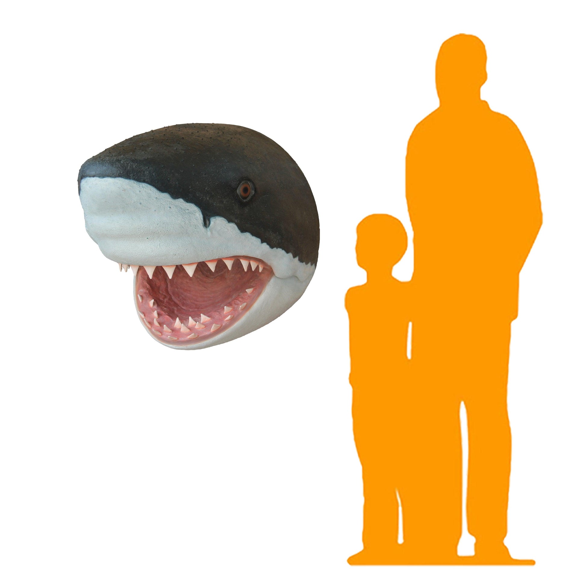 Large Shark Head Statue - LM Treasures Prop Rentals 