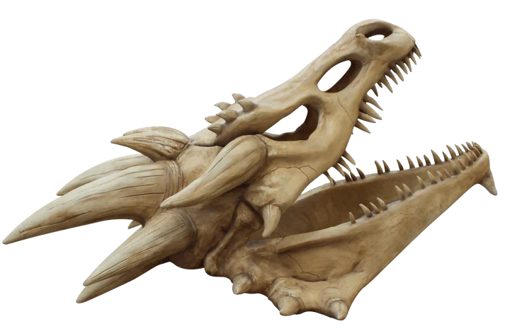 Giant Dragon Skull Statue