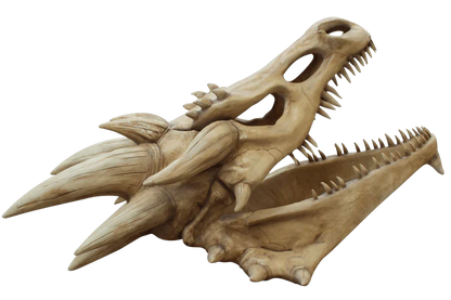 Giant Dragon Skull Statue