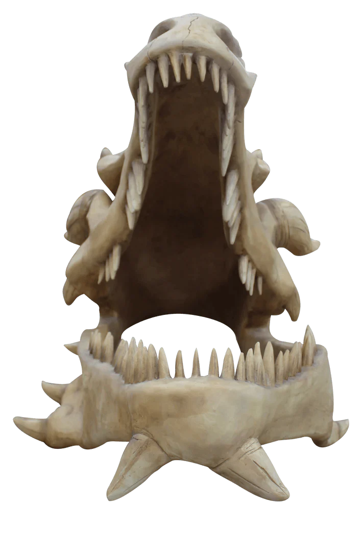 Giant Dragon Skull Statue